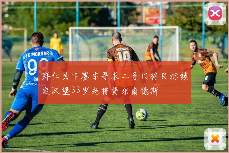 拜仁为下赛季寻求二号门将目标锁定汉堡33岁老将费尔南德斯