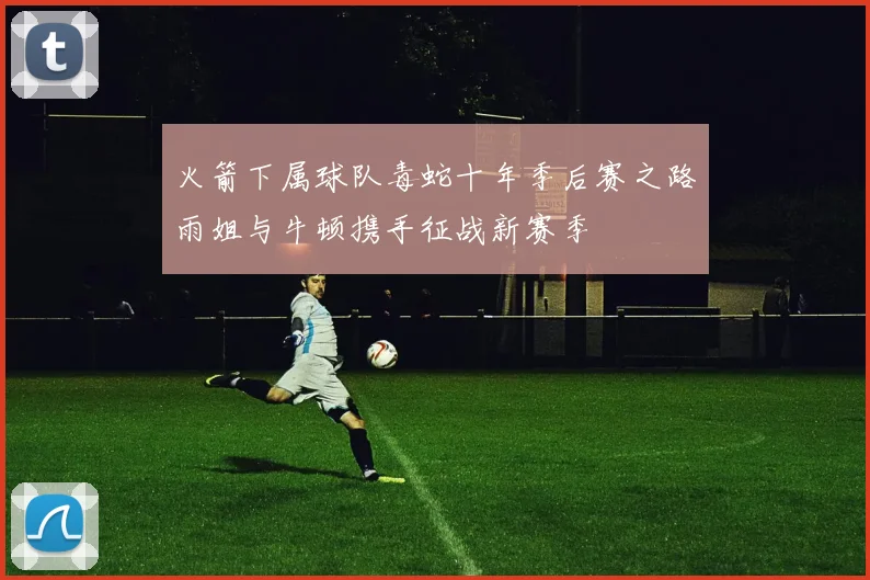 火箭下属球队毒蛇十年季后赛之路雨姐与牛顿携手征战新赛季